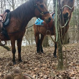 Meet your Posher, Catherine